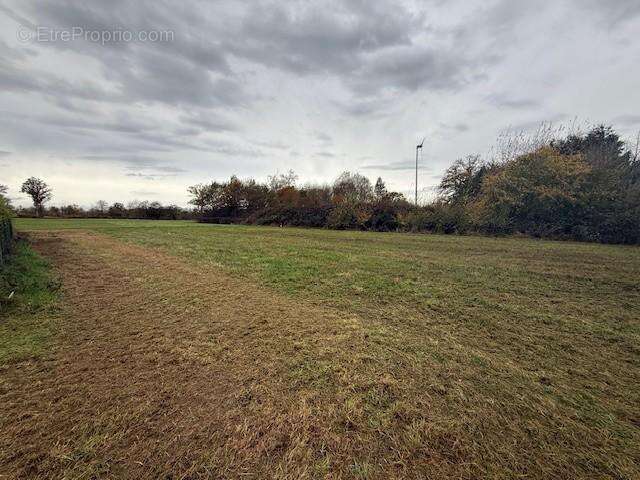 Terrain à SAINT-AUBIN-DU-THENNEY