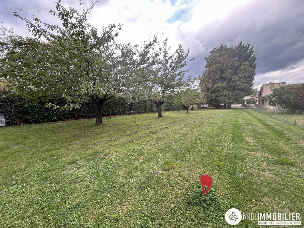 Terrain à SAINT-JUERY