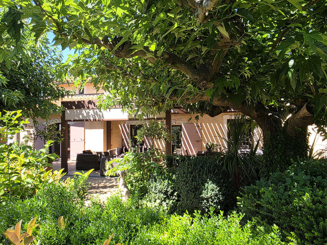 Maison à ARLES