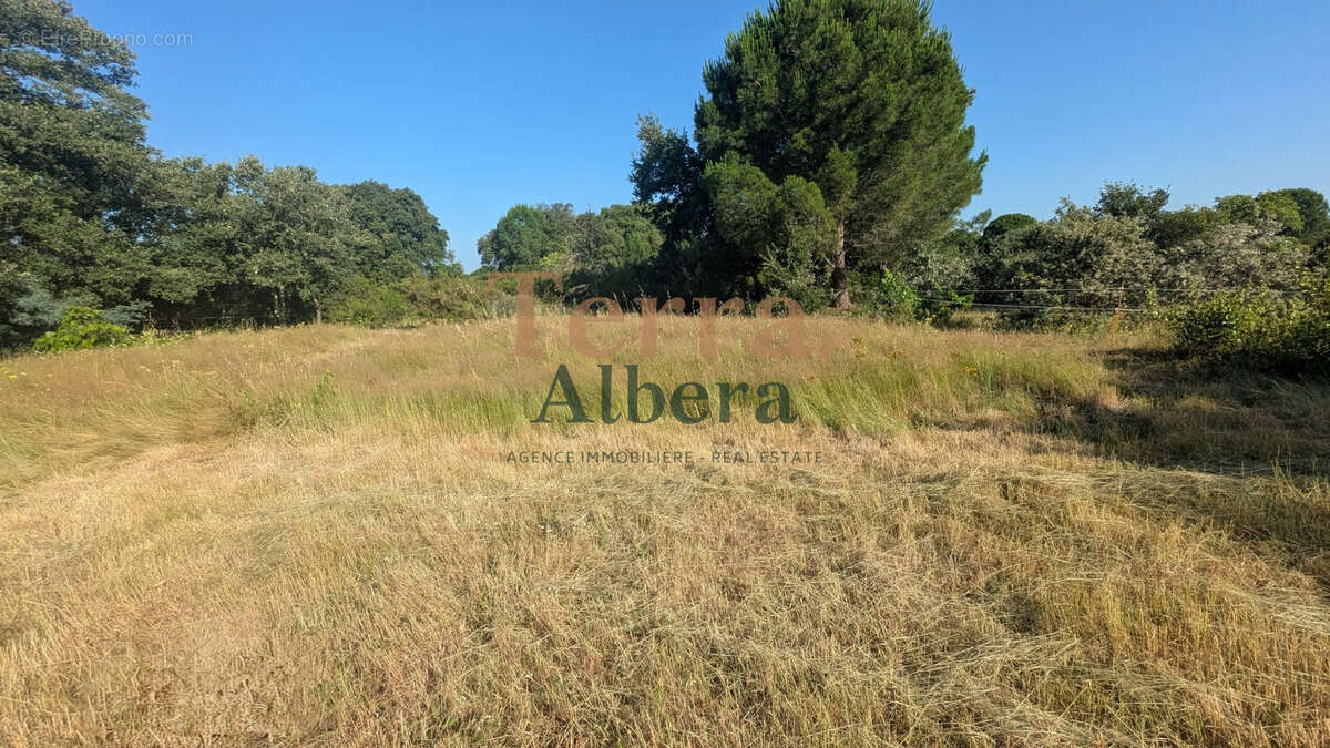 Terrain non constructible - photo 4