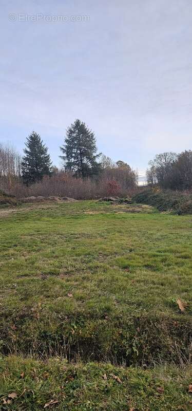 Terrain à SAINT-YRIEIX-LA-PERCHE