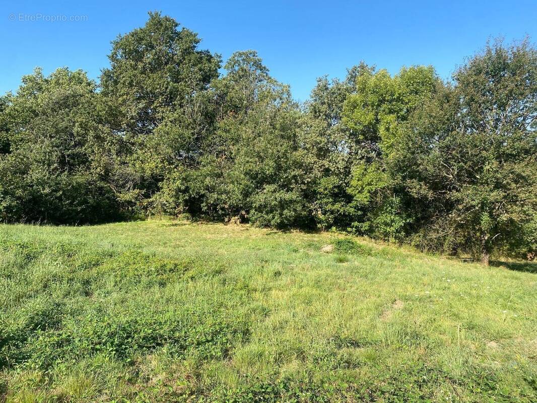 Photo 1 - Terrain à PLANIOLES