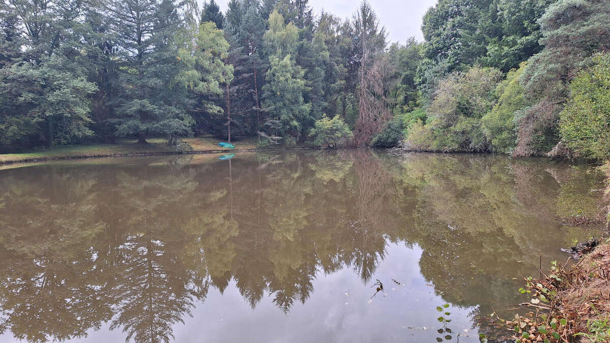 20250925_150629 - Terrain à PIEGUT-PLUVIERS