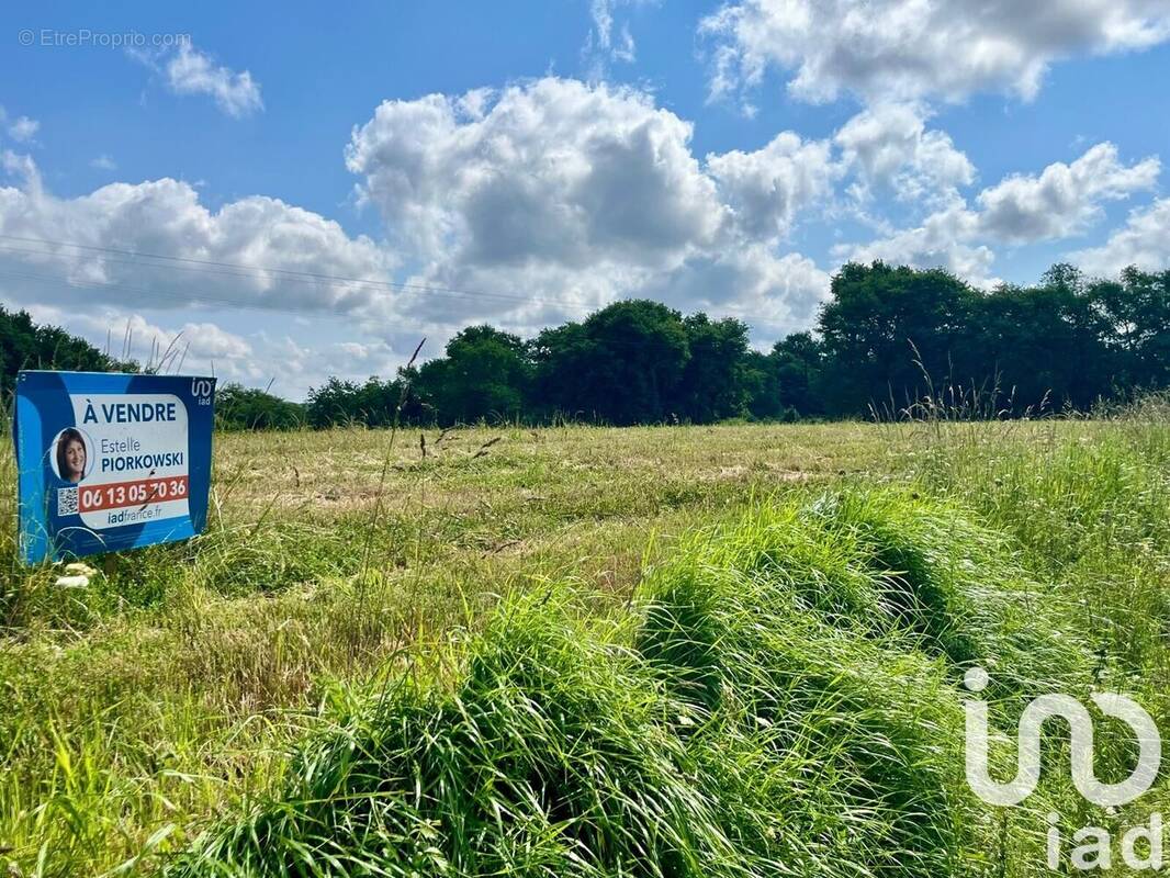 Photo 1 - Terrain à SAULT-DE-NAVAILLES
