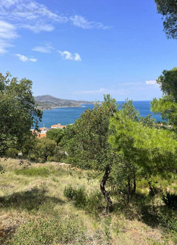 Maison à BANYULS-SUR-MER