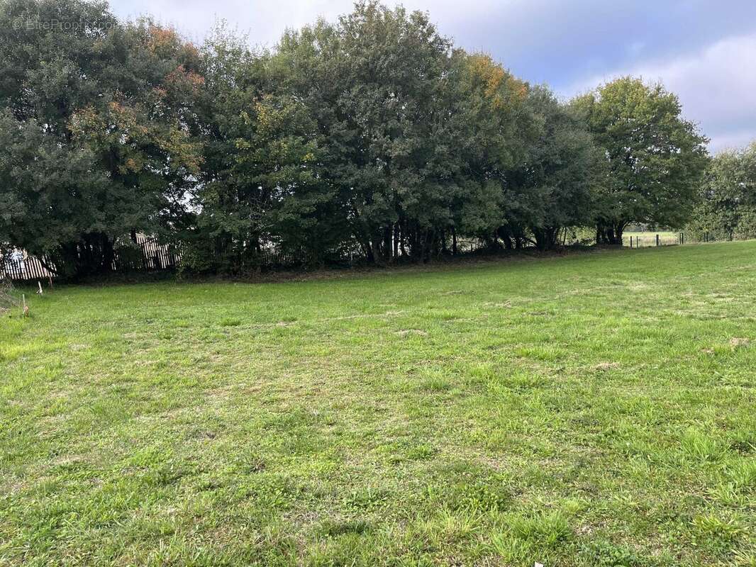 Terrain à NANTEUIL-EN-VALLEE