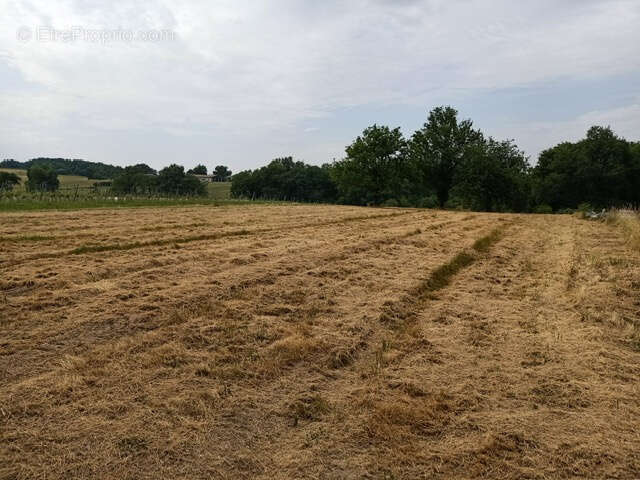 Terrain à BOISREDON