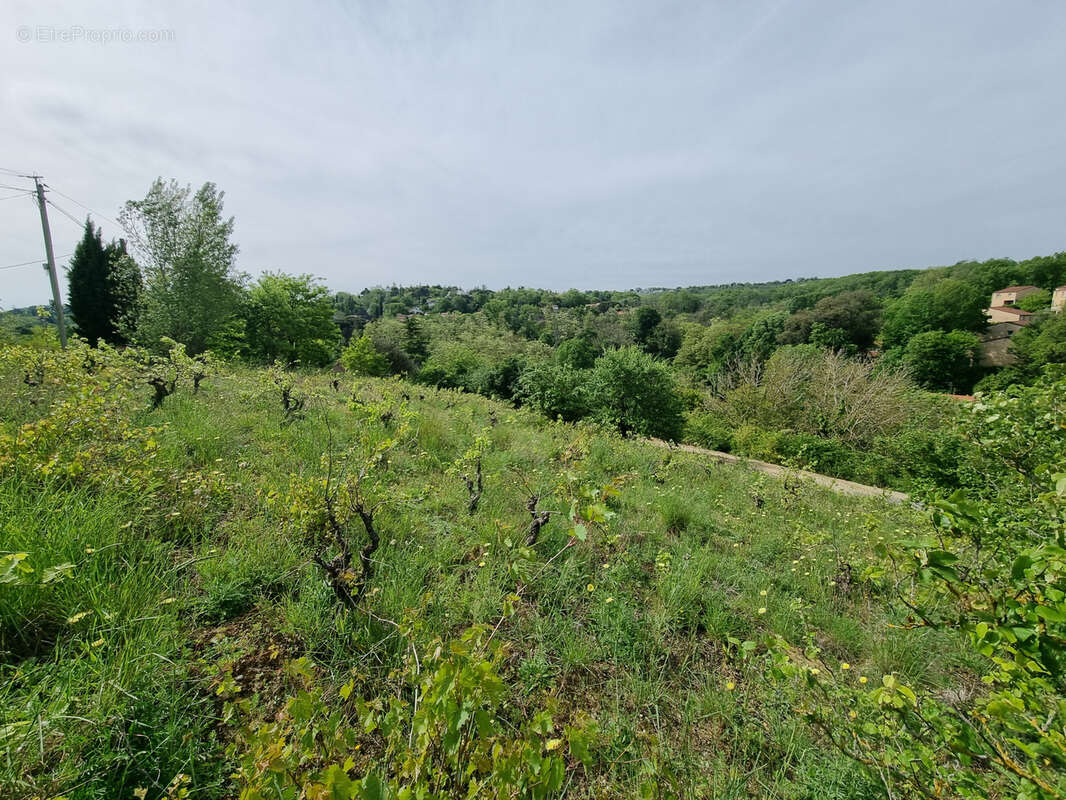 Terrain à CASTANET-TOLOSAN