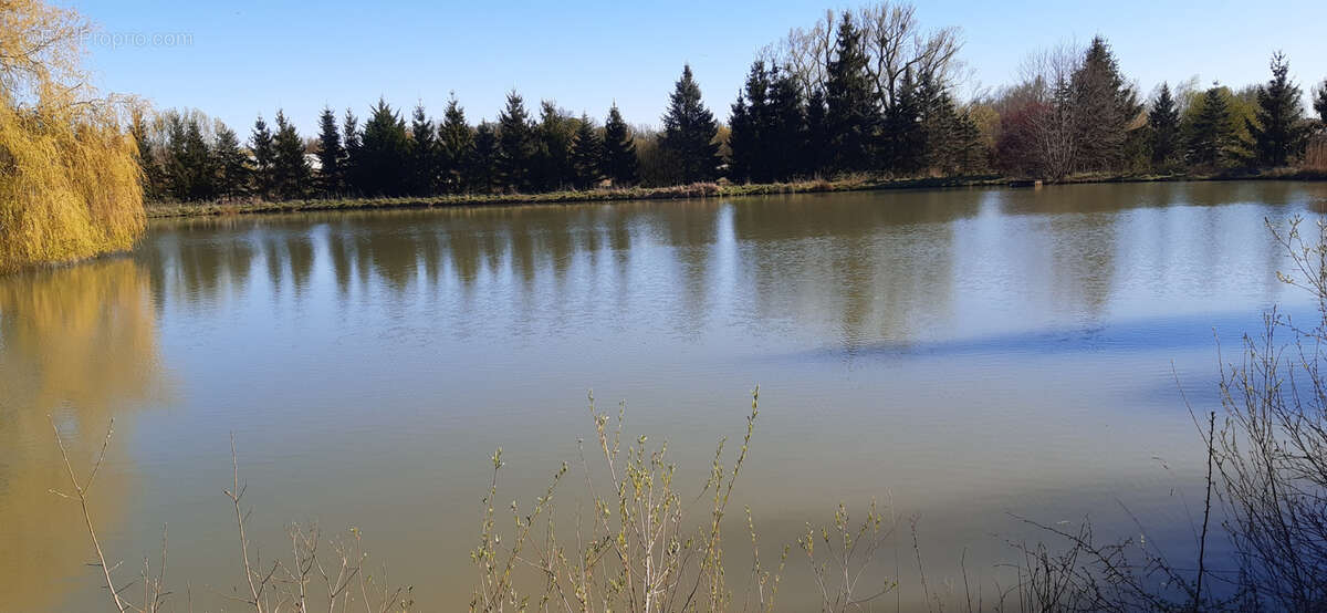 Terrain à CHATEAU-SALINS