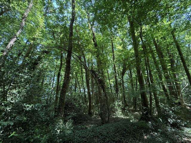 14560 m² à Orbec  - photo 5
