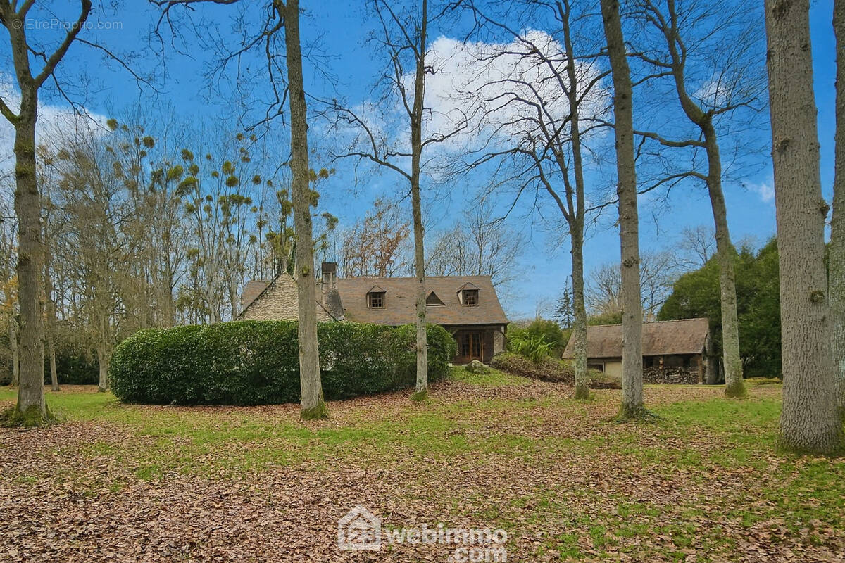 Venez découvrir cette belle maison en pierre avec son terrain de 10 000 m². - Maison à MILLY-LA-FORET