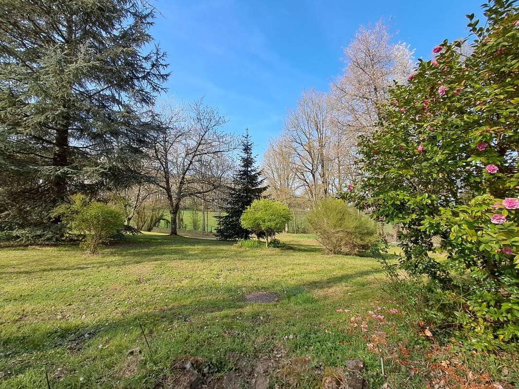 Maison 204 m² à Saint-Saturnin  - photo 7