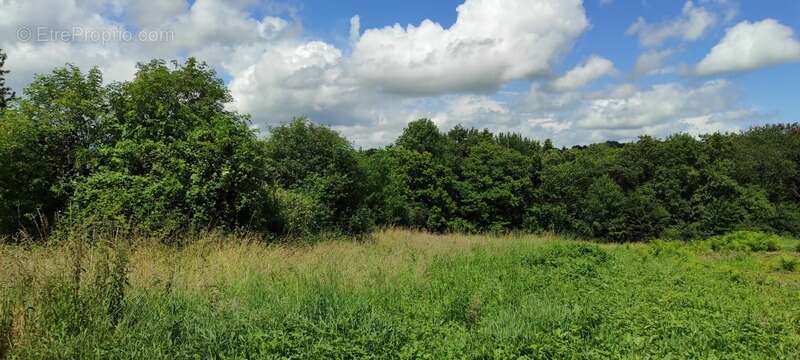 Maison à SAINT-MESMIN