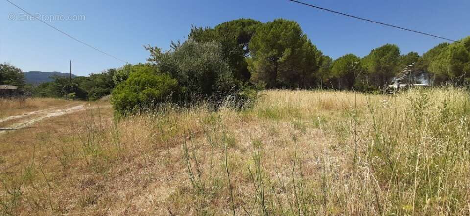 Terrain 500 m² à Roquebrune-Sur-Argens  - photo 3