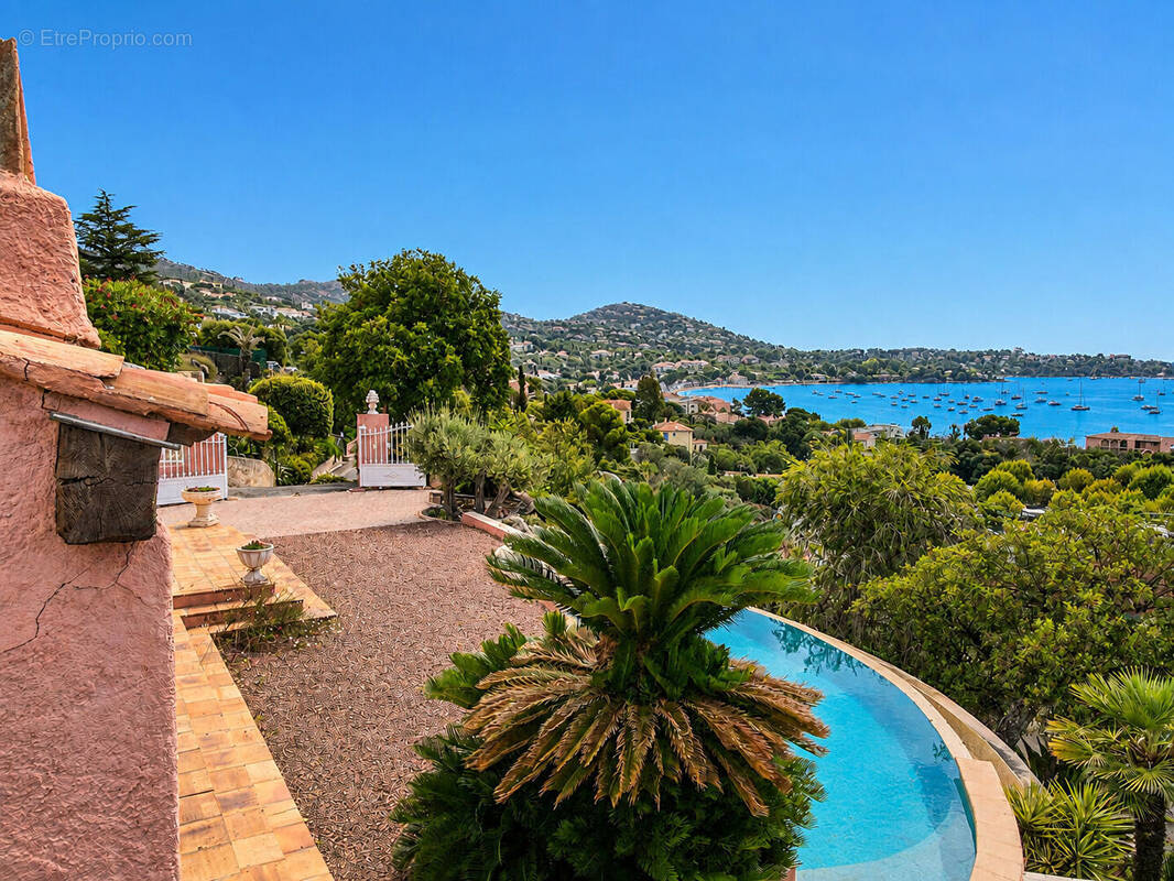 Photo Maison à La Seyne-Sur-Mer au prix de 1 260 000€
