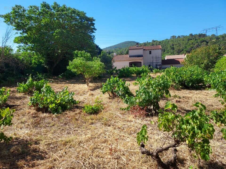 Terrain 880 m² à Sainte-Anastasie-Sur-Issole  - photo 2