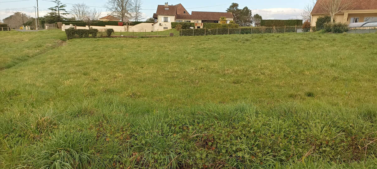 Terrain à SAINT-VIANCE