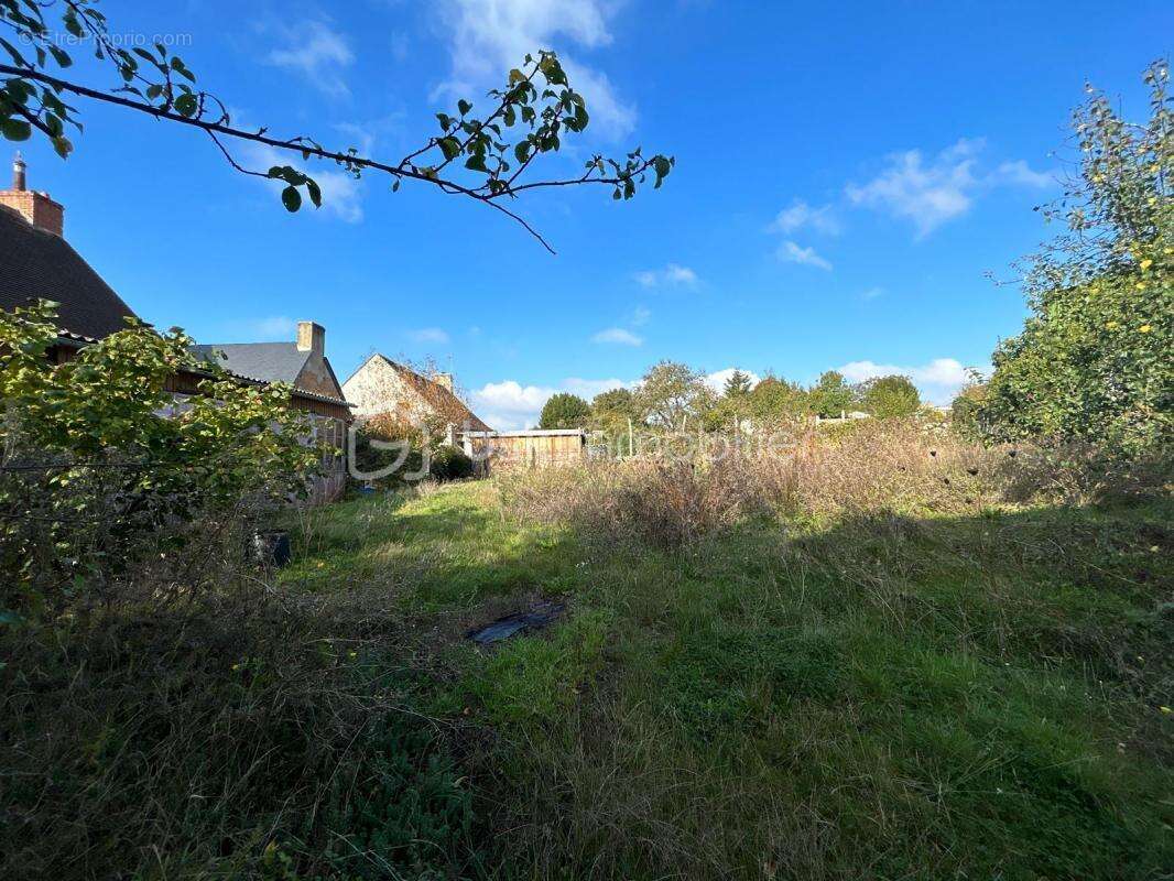 Maison à BRAINS-SUR-GEE