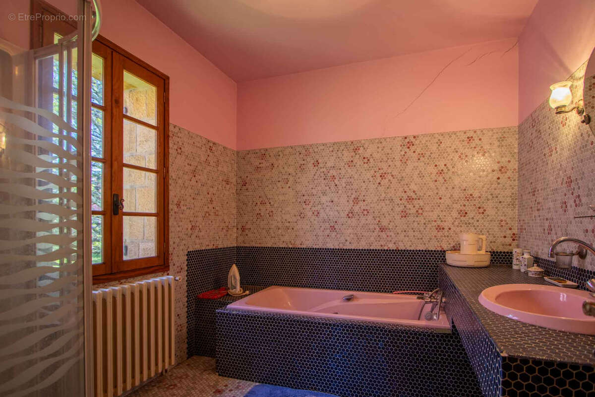 Maison à SAINT-JULIEN-DE-LAMPON