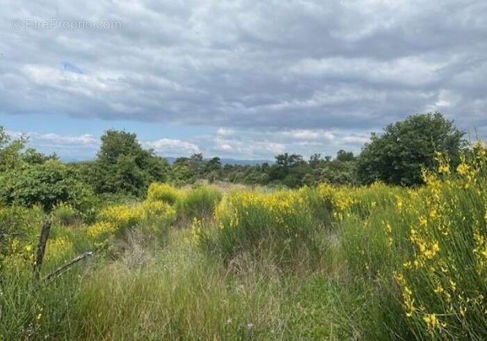 Terrain à MONTELEGER