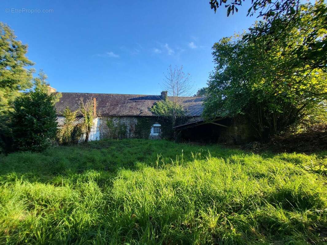 Photo 3 - Maison à PLEUGRIFFET