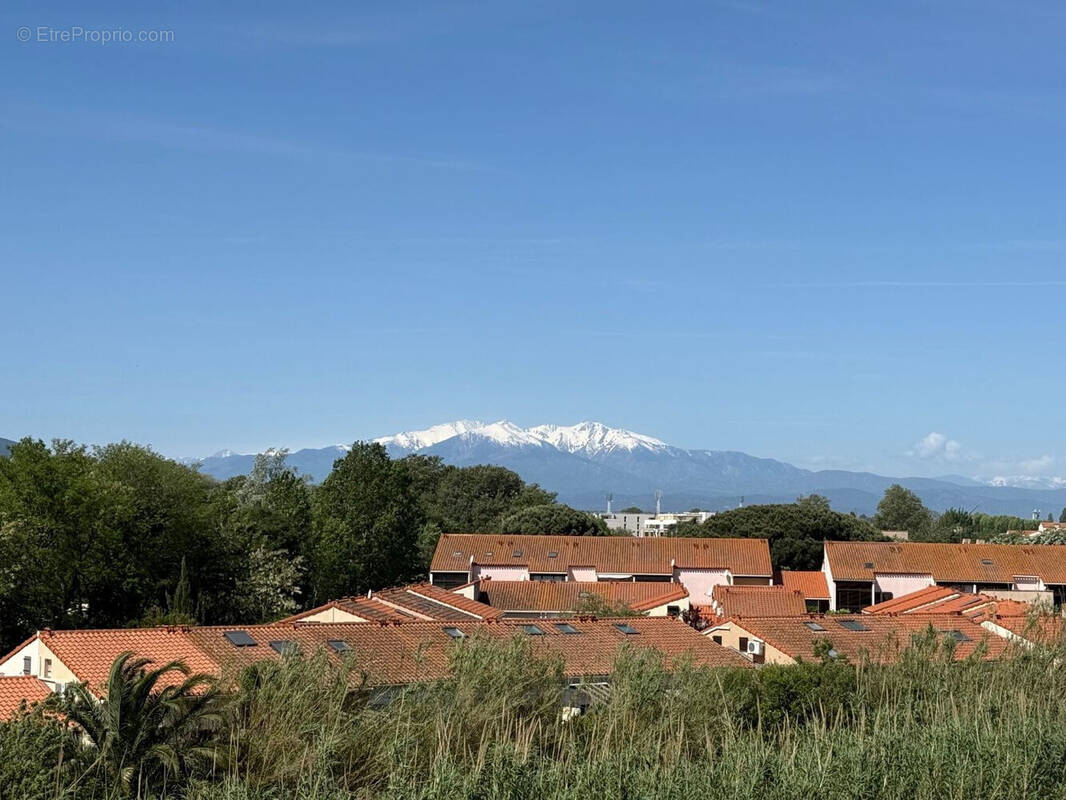 Photo 1 - Appartement à ARGELES-SUR-MER