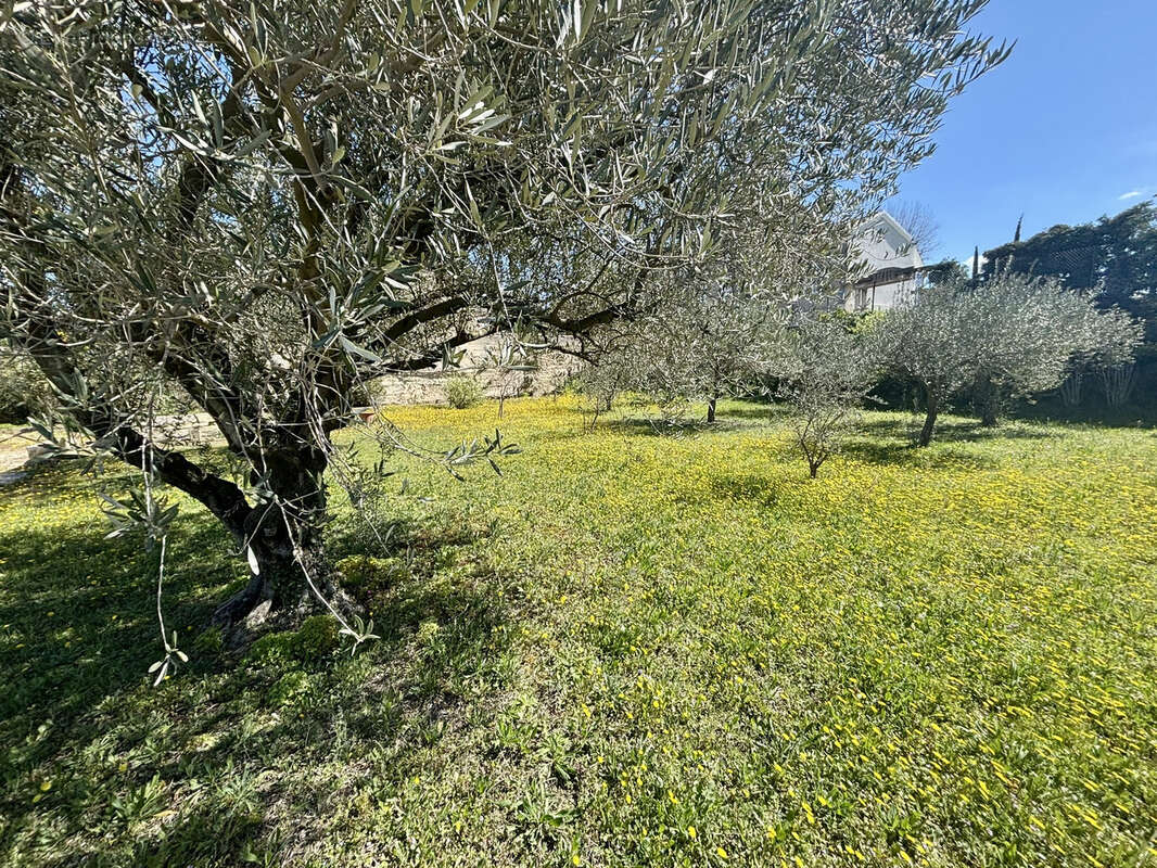 Maison à VISAN