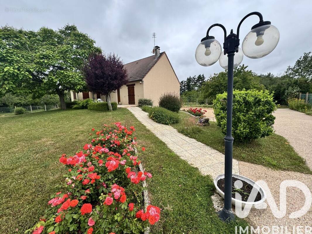 Photo 1 - Maison à PONT-SUR-YONNE