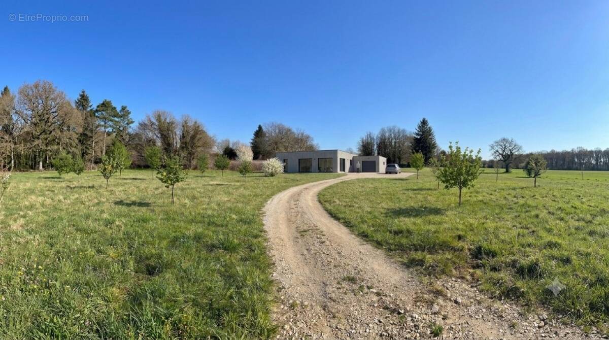 Terrain à SAVIGNAC-LES-EGLISES