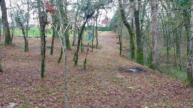 Terrain à vendre de 1 255,00 m² BALADOU (46) - photo 4