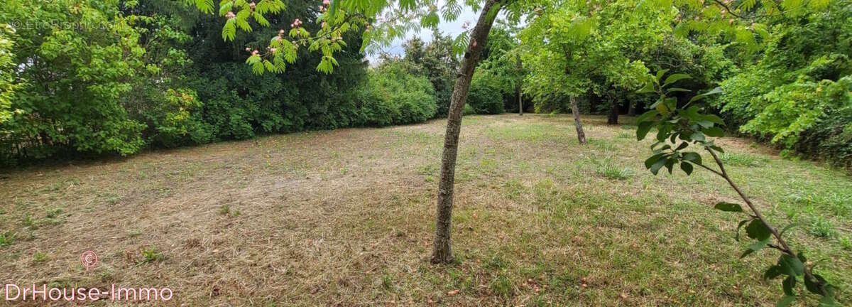 Terrain à MARTIGNE-BRIAND