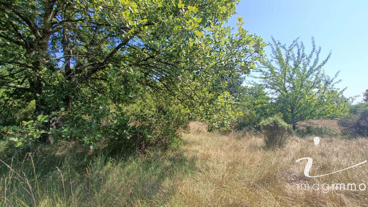 Terrain agricole avec un puits - photo 7