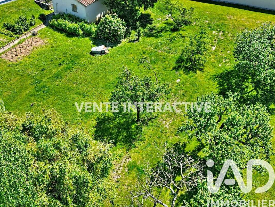 Photo 4 - Terrain à BUELLAS
