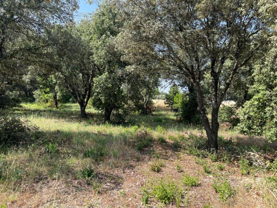 Terrain à LA BAUME-DE-TRANSIT