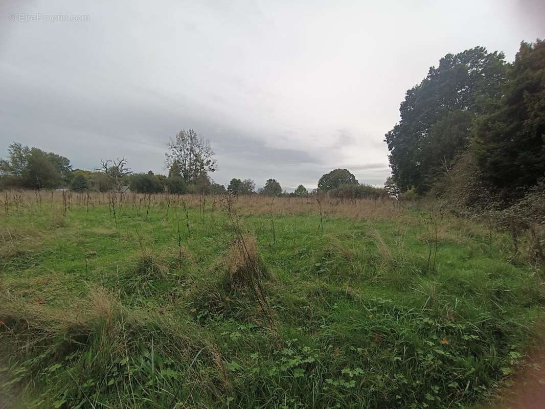 Terrain à FORMENTIN