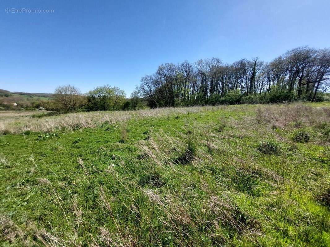 20260408154340 - Terrain à SAINT-MARTORY