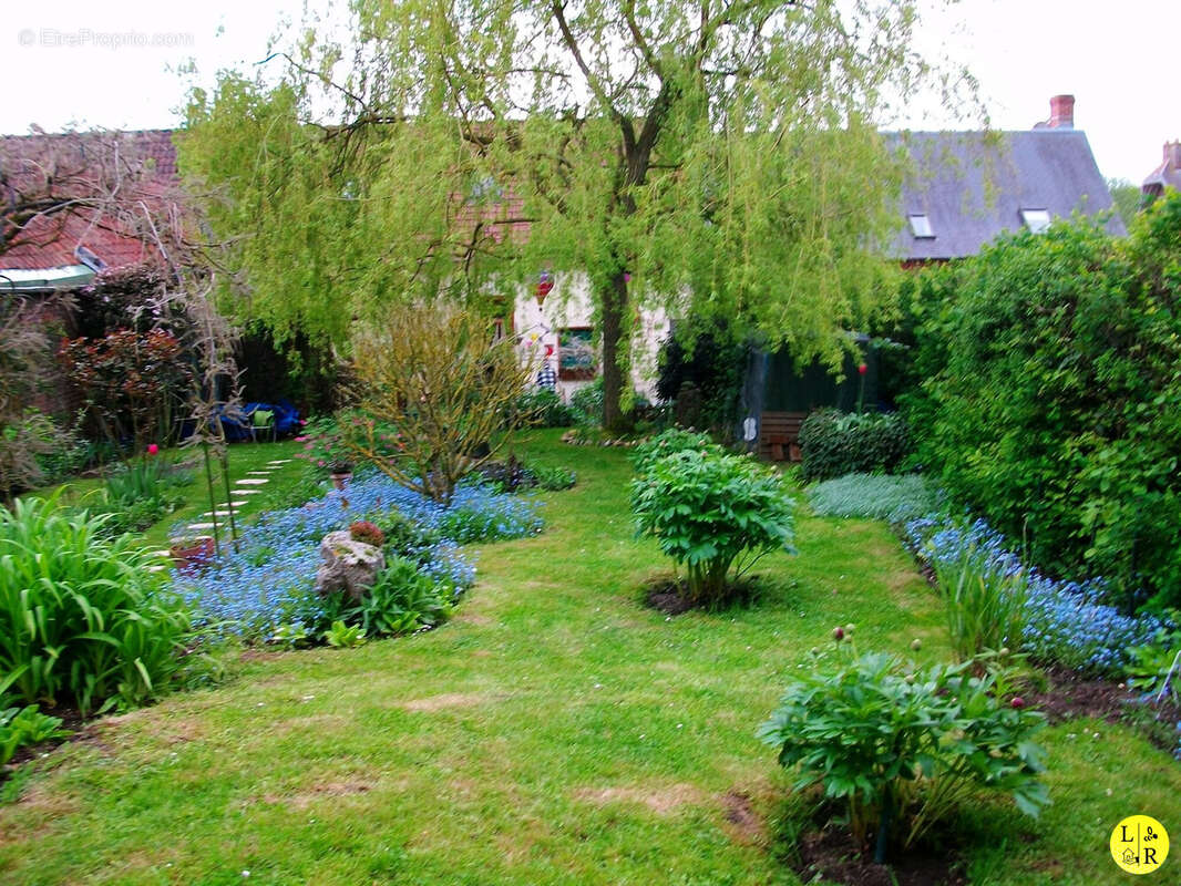 Maison à LUCHEUX