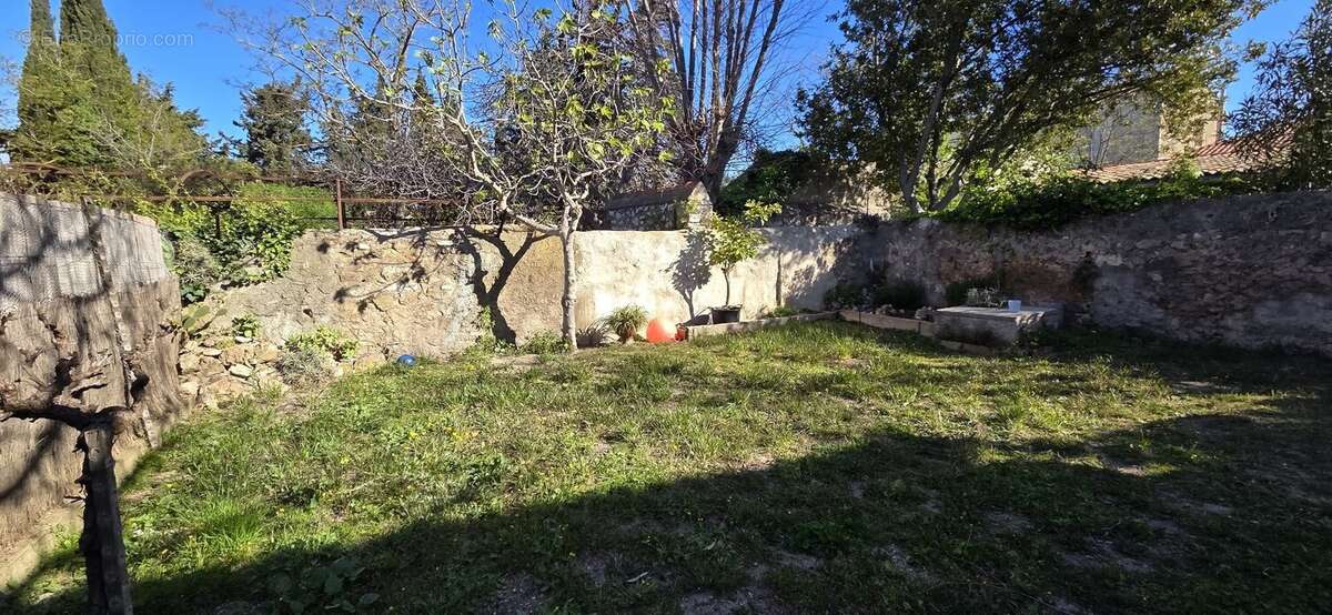 Bouzigues - maison de village avec jardin et garage - photo 4