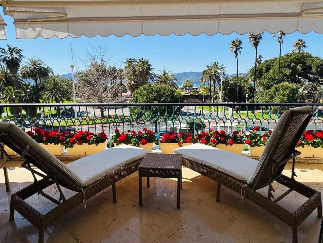 3 pieces croisette proche palm beach avec parking - photo 3
