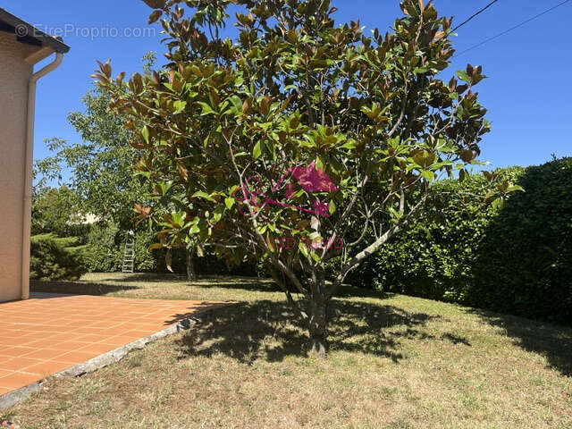 Maison T7/8 centre Villefranche de Lauragais - photo 5