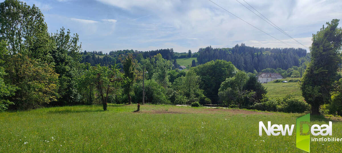Terrain à TULLE