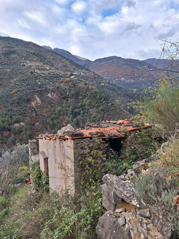 Maison à BREIL-SUR-ROYA