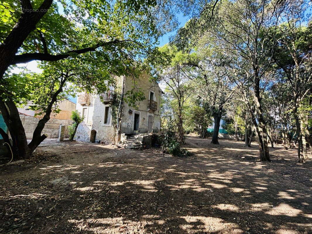 Maison à MONTPELLIER