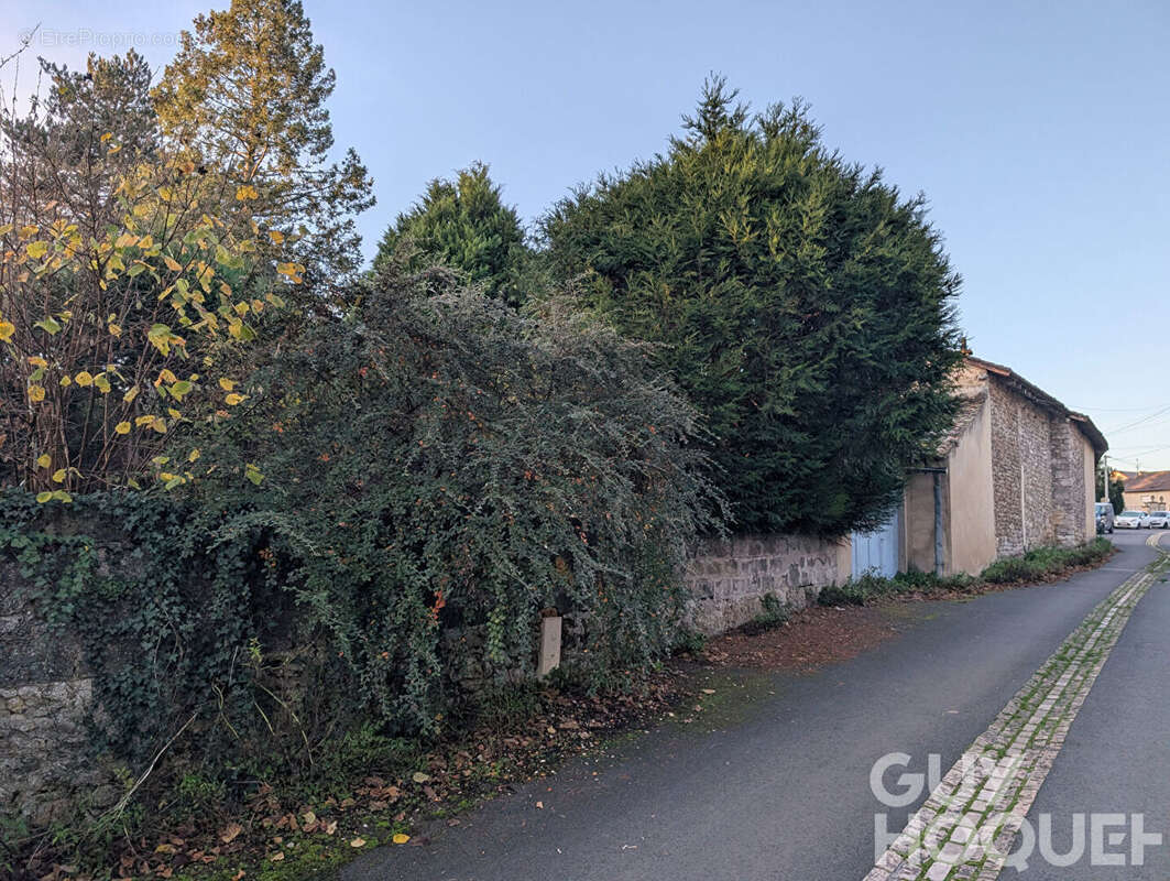 Terrain à VOUNEUIL-SOUS-BIARD