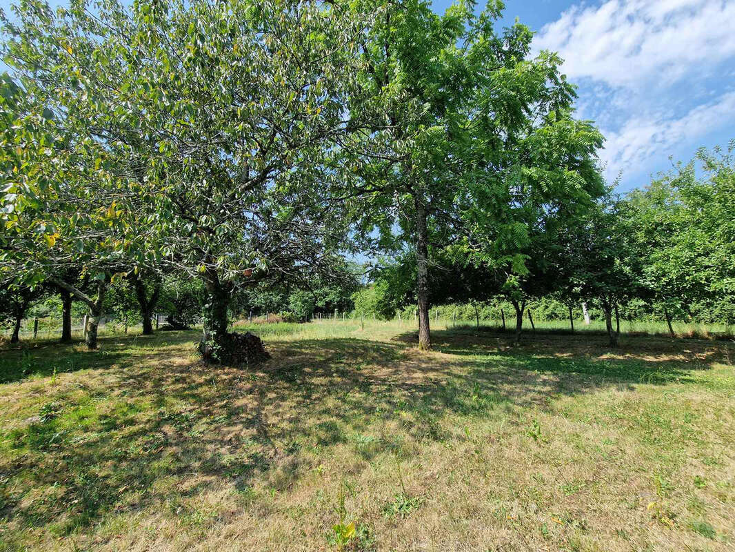 Ancienne ferme avec dépendances sur terrain de 1.2 hectare - photo 9
