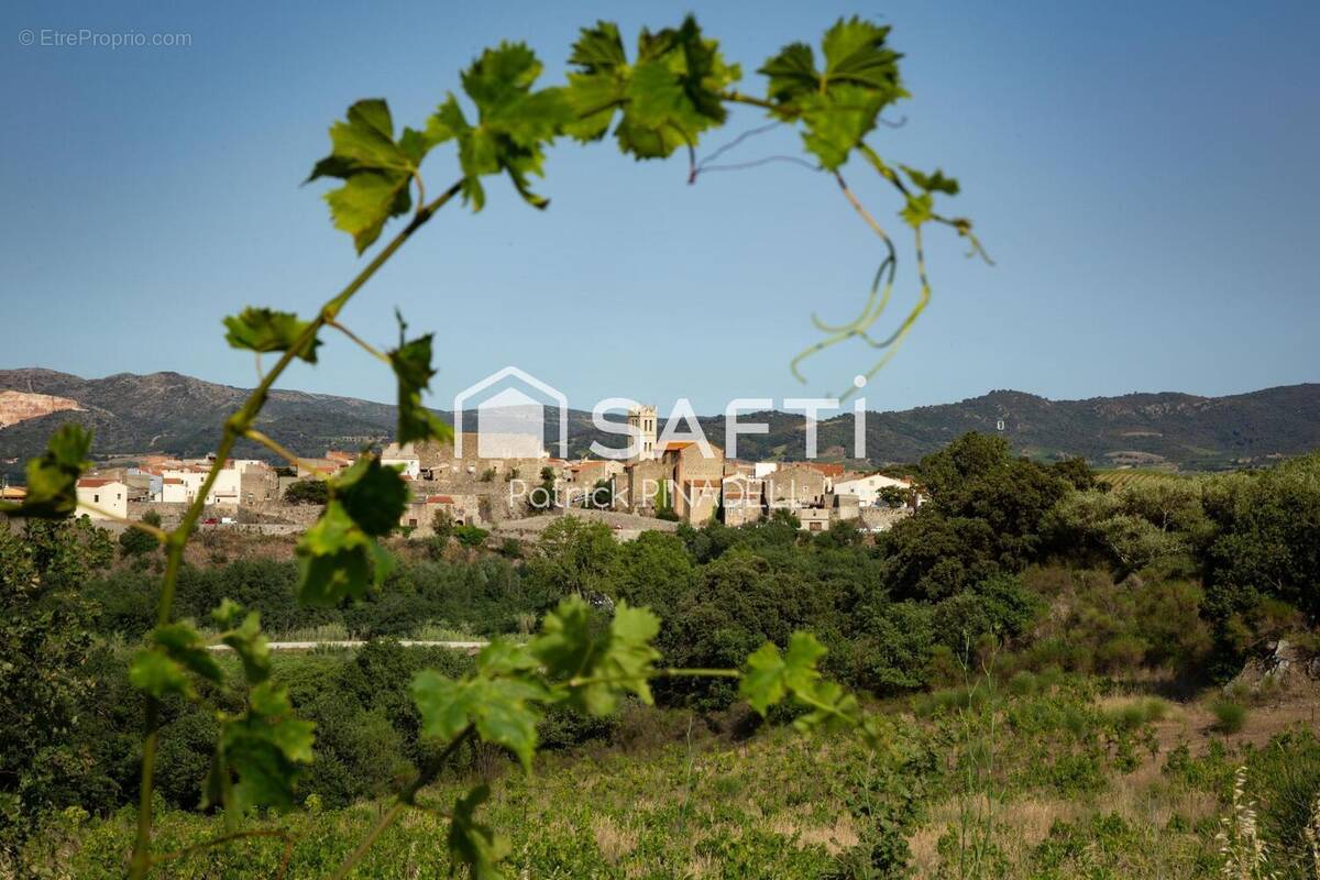 Photo 1 - Commerce à LATOUR-DE-FRANCE