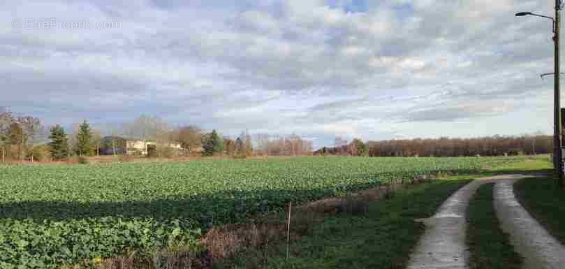 Terrain à SAVIGNY-LEVESCAULT