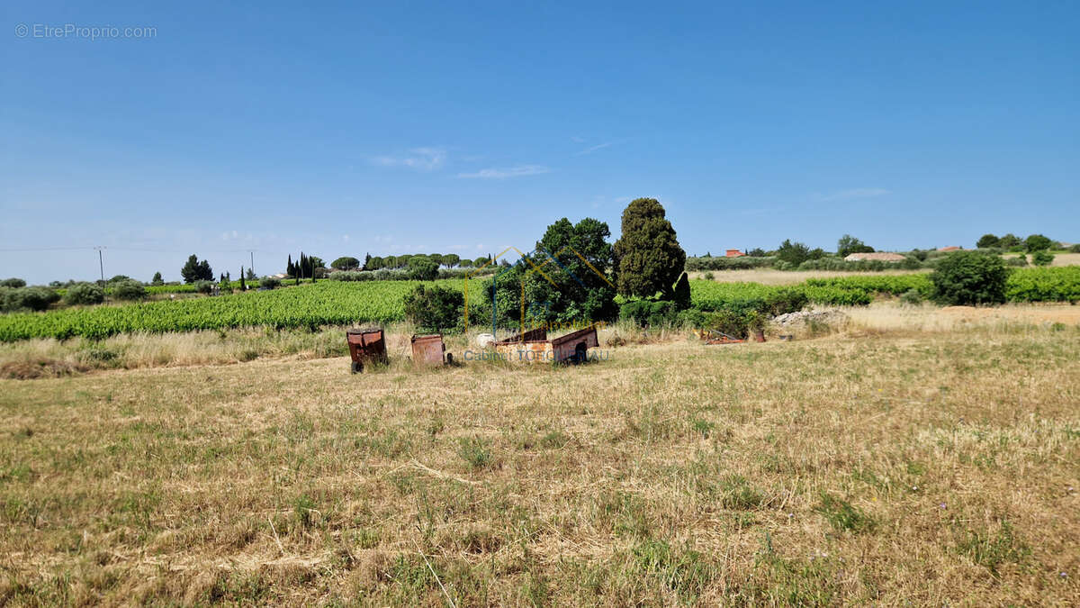 Terrain à SAINT-JEAN-DE-FOS