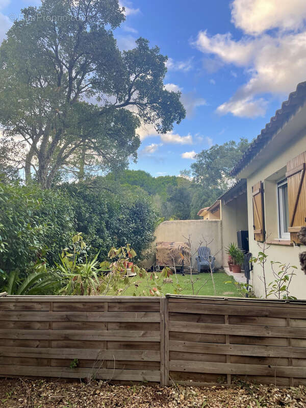 Maison à PORTO-VECCHIO