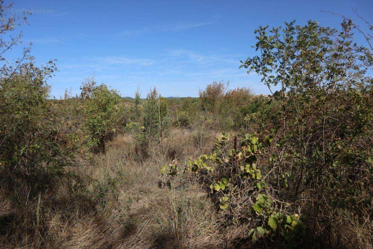 Terrain à LA LIVINIERE